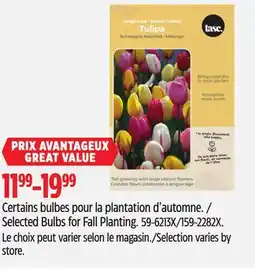 Canadian Tire Selected Bulbs for Fall Planting offer