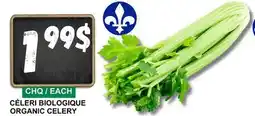 Marches Tau CÉLERI BIOLOGIQUE | ORGANIC CELERY offer