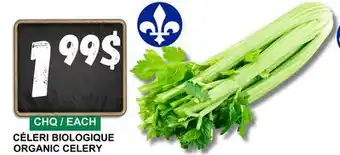 Marches Tau CÉLERI BIOLOGIQUE | ORGANIC CELERY offer