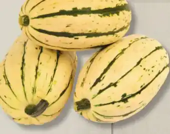 IGA Délicata SQUASHES offer