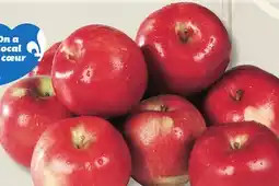 IGA SPARTAN APPLES offer