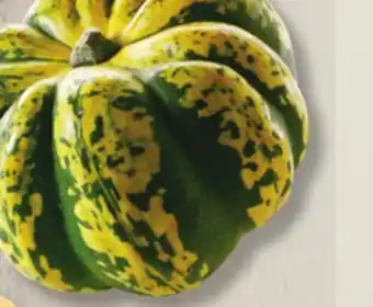 IGA Cœur d'or SQUASHES offer