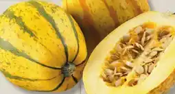 IGA Stripetti SQUASHES offer