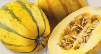 IGA Stripetti SQUASHES offer