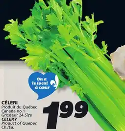 IGA CELERY offer