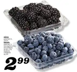 Marché Richelieu MÛRES OU BLEUETS | BLACKBERRIES OR BLUEBERRIES offer