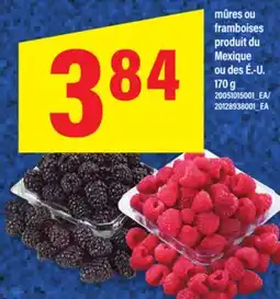 Maxi MÛRES OU FRAMBOISES, 170 G offer