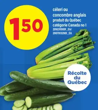 Maxi CÉLERI OU CONCOMBRE ANGLAIS offer