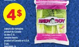 Maxi CŒURS DE ROMAINE | ROMAINE HEARTS, 3 UN offer