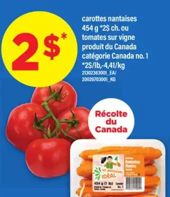 Maxi CAROTTES NANTAISES offer