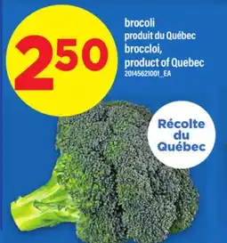 Maxi BROCOLI | BROCCLOI offer