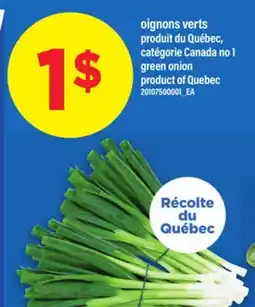 Maxi OIGNONS VERTS | GREEN ONION offer