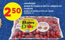 Maxi CANNEBERGES | CRANBERRIES offer