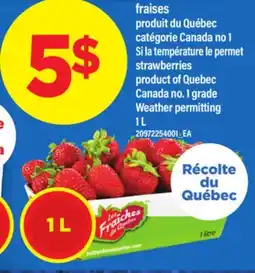 Maxi FRAISES | STRAWBERRIES, 1L offer