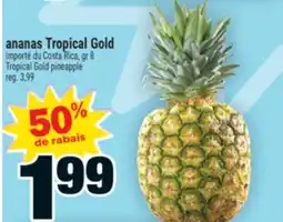 Super C ananas Tropical Gold | Tropical Gold pineapple offer