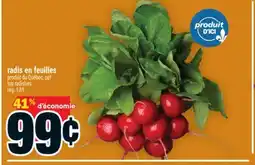 Super C radis en feuilles offer