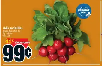 Super C radis en feuilles offer