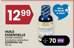 Rachelle-Bery Grocery DIVINE ESSENCE Eucalyptus ESSENTIAL OIL offer