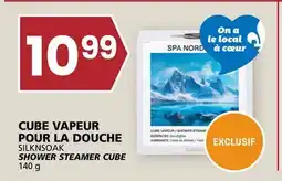 Rachelle-Bery Grocery SILKNSOAK SHOWER STEAMER CUBE offer