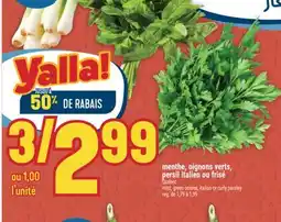 Marché Adonis MENTHE, OIGNONS VERTS, PERSIL ITALIEN OU FRISÉ | MINT, GREEN ONIONS, ITALIAN OR CURLY PARSLEY offer