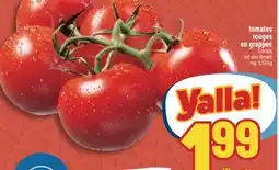 Marché Adonis TOMATES ROUGES EN GRAPPES | RED VINE TOMATO offer