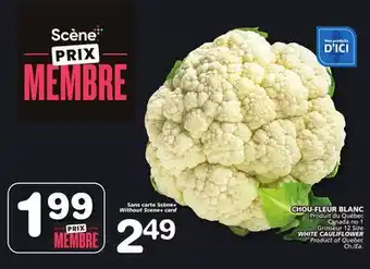 Marches Tradition WHITE CAULIFLOWER offer