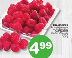 Marches Tradition RASPBERRIES offer