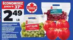 Provigo HONEYCRISP APPLES OR PC EXTRA LARGE GREEN OR RED SEEDLESS GRAPES offer