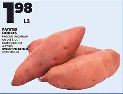 Provigo SWEET POTATOES offer