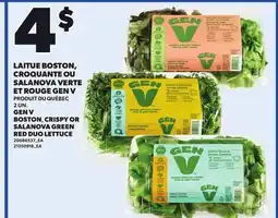 Provigo GEN V BOSTON CRISPY OR SALANOVA GREEN RED DUO LETTUCE, 2 UN offer