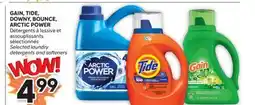Brunet GAIN, TIDE, DOWNY, BOUNCE, ARCTICPOWER Détergents à lessive et assouplissants sélectionnés offer