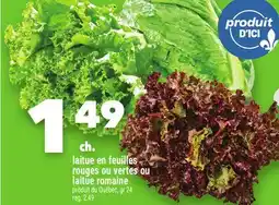 Marche Ami LAITUE EN FEUILLES ROUGES OU VERTES OU LAITUE ROMAINE offer