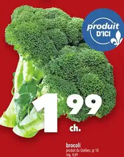 Marche Ami BROCOLI offer