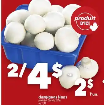 Marche Ami CHAMPIGNONS BLANCS offer
