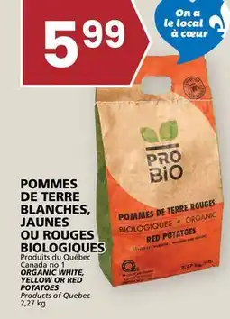 Rachelle-Bery Grocery WHITE, YELLOW OR RED YELLOW OR RED POTATOES offer