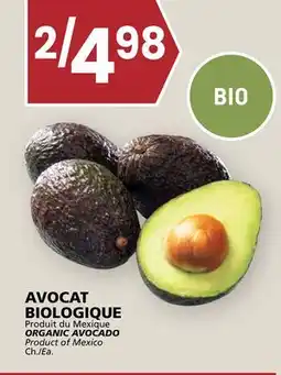 Rachelle-Bery Grocery ORGANIC AVOCADO offer