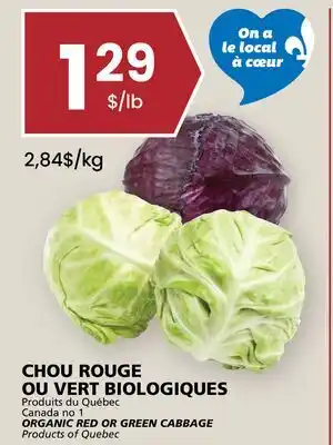Rachelle-Bery Grocery ORGANIC RED OR GREEN CABBAGE offer