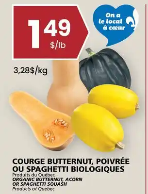 Rachelle-Bery Grocery ORGANIC BUTTERNUT, ACORN OR SPAGHETTI SQUASH offer
