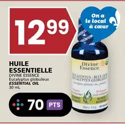 Rachelle-Bery Grocery DIVINE ESSENCE Eucalyptus globuleux ESSENTIAL OIL offer