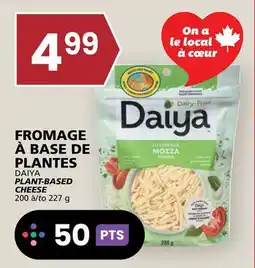Rachelle-Bery Grocery DAIYA PLANT-BASED CHEESE offer