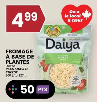 Rachelle-Bery Grocery DAIYA PLANT-BASED CHEESE offer