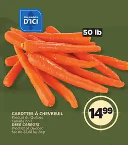 Marché Bonichoix DEER CARROTS offer