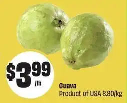 FreshCo Guava offer
