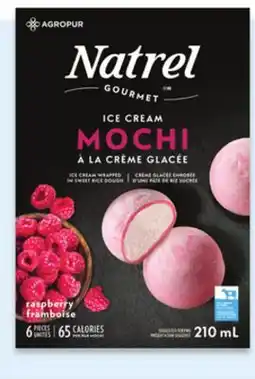 Walmart Natrel Ice cream mochi offer