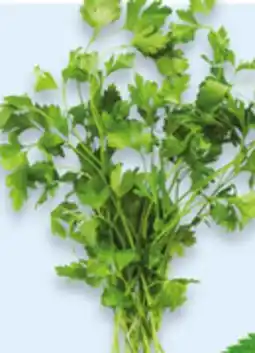 Walmart Flat Parsley offer