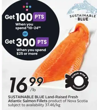 Sobeys Land-Raised Fresh Atlantic Salmon Fillets offer