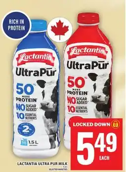 Food Basics LACTANTIA ULTRA PUR MILK offer