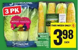 Food Basics ROMAINE HEARTS offer