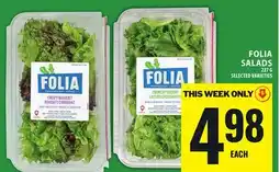 Food Basics FOLIA SALADS offer
