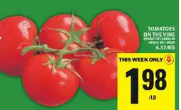 Food Basics TOMATOES ON THE VINE offer